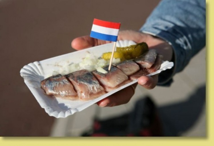 Món cá herring Hà Lan