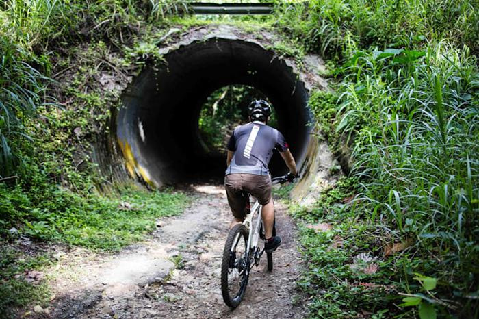 Đường mòn đạp xe leo núi độc đáo tại Bukit Timah