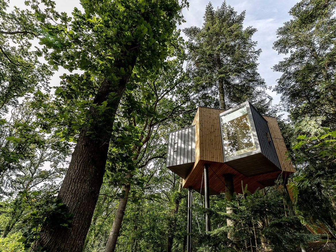Treetop House – Kiến trúc độc lạ trên những ngọn cây