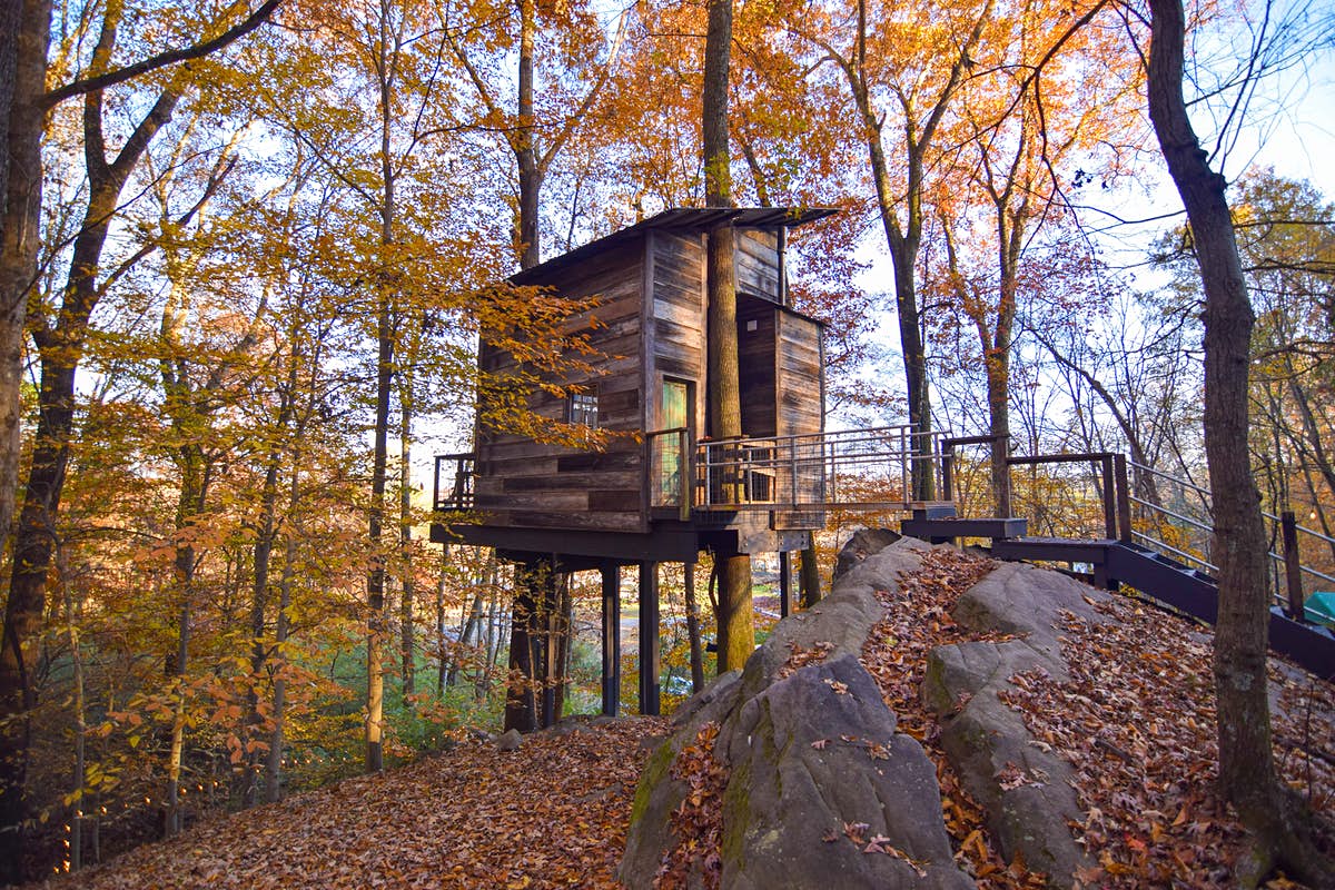 Treetop House mang đến phong cách sáng tạo đặc biệt